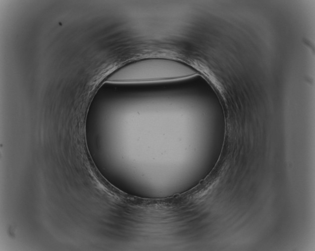 X0000093580433200710151000