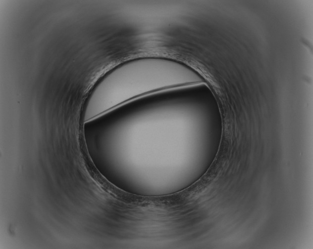 X0000093580434200710151000