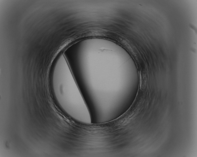 X0000093580435200710151000