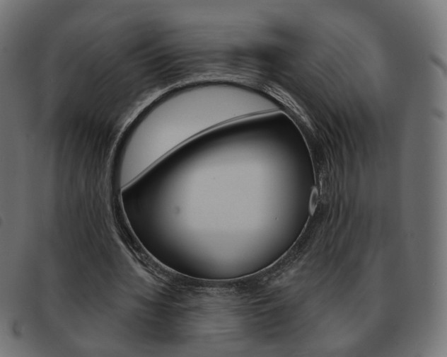 X0000093580436200710151000