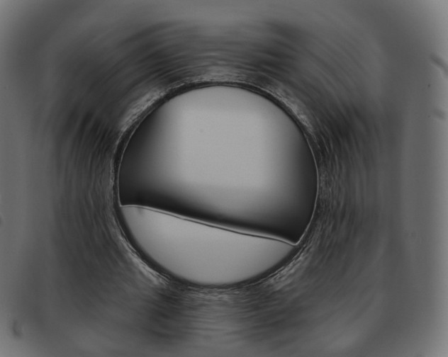 X0000093580437200710151000