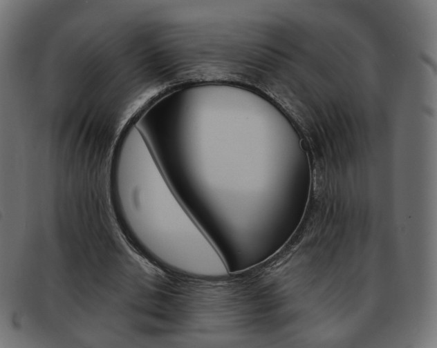 X0000093580438200710151000