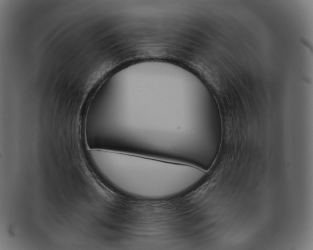 X0000093580439200710151000