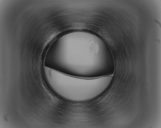 X0000093580440200710151000
