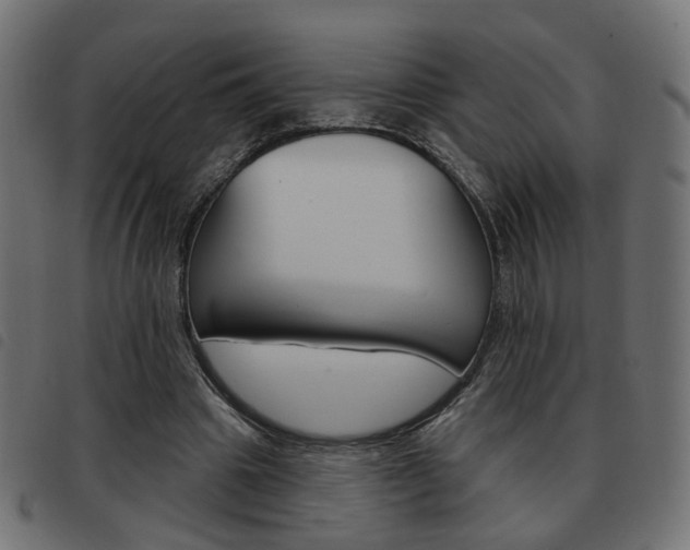 X0000093580441200710151000