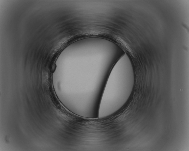 X0000093580444200710151000