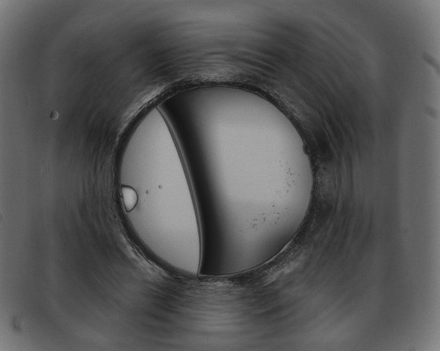 X0000093580446200710151000