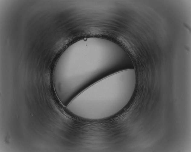 X0000093580447200710151000