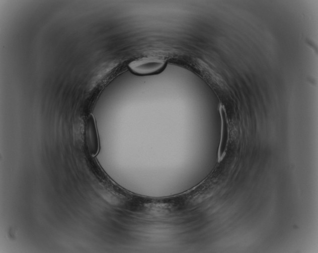 X0000093580448200710151000