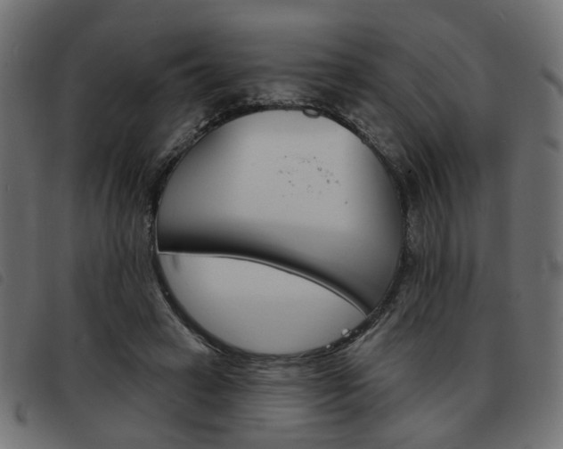 X0000093580449200710151001