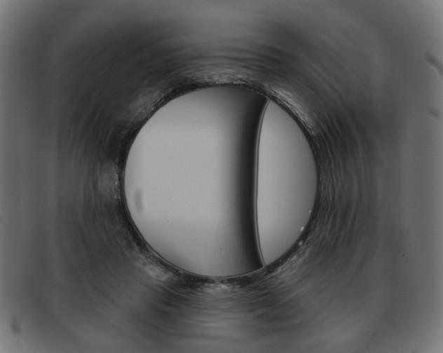 X0000093580453200710151001