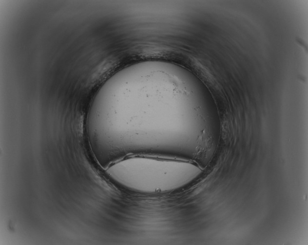 X0000093580454200710151001
