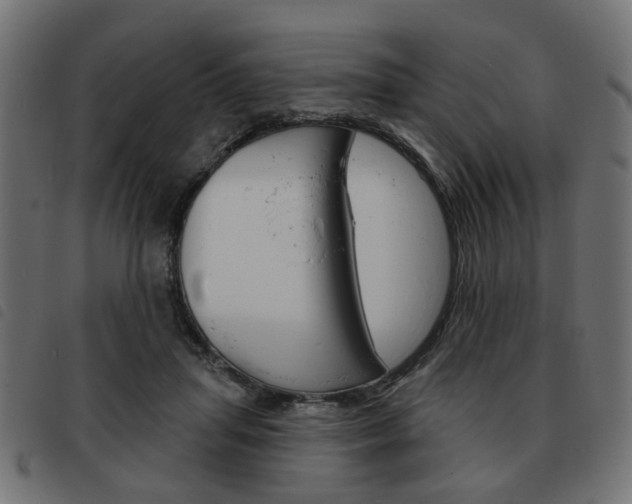 X0000093580455200710151001