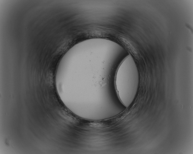 X0000093580457200710151001