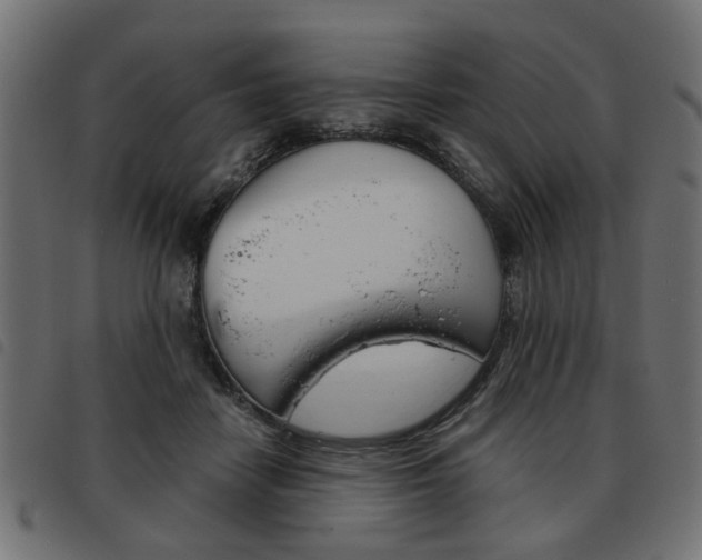 X0000093580458200710151001