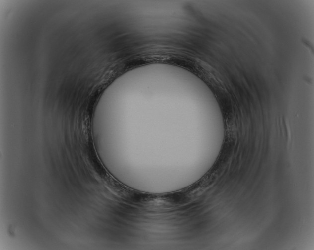 X0000093580460200710151001