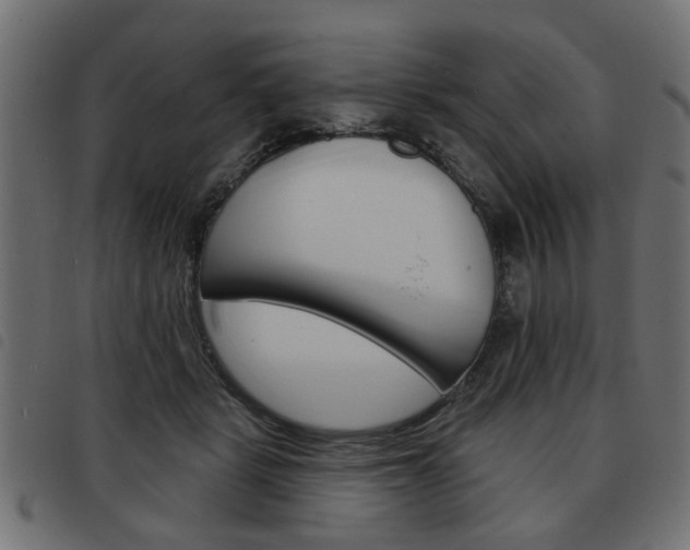 X0000093580461200710151001