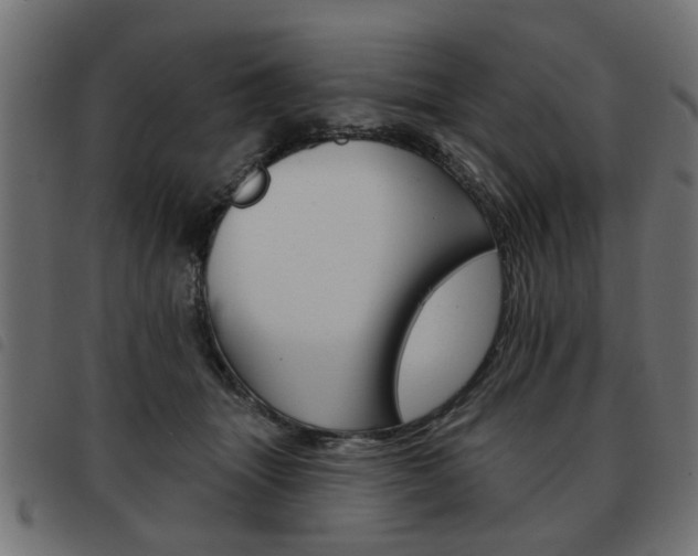 X0000093580463200710151001