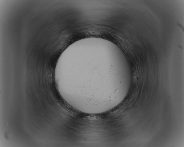 X0000093580464200710151001