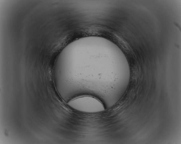 X0000093580465200710151001