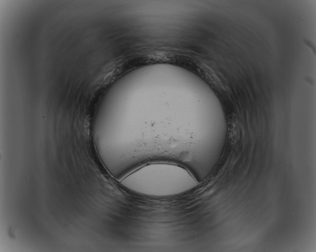 X0000093580466200710151001