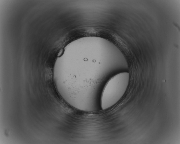 X0000093580467200710151001