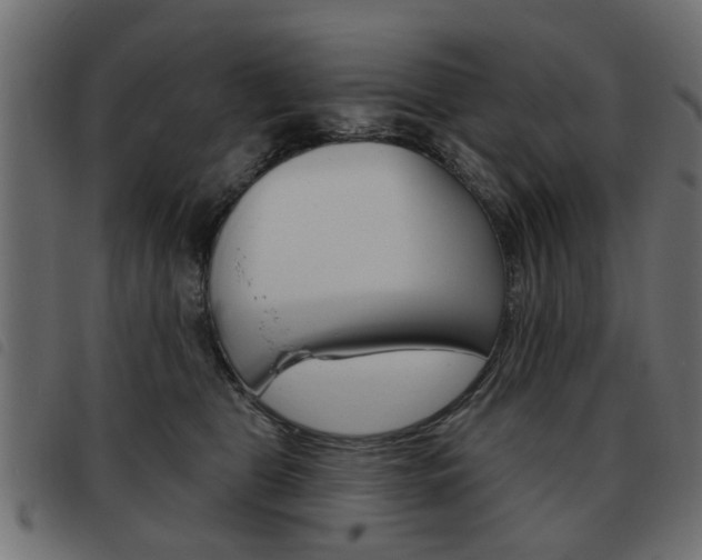 X0000093580469200710151001