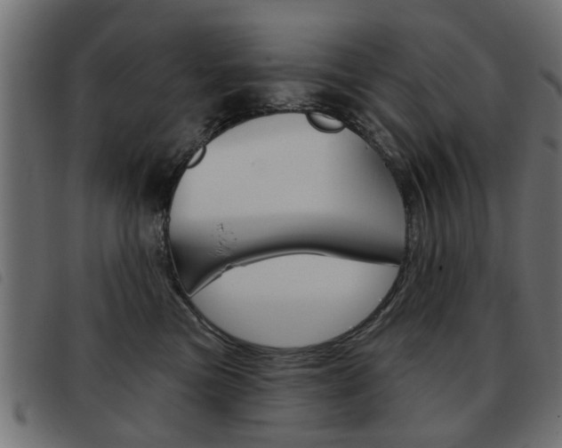 X0000093580473200710151001
