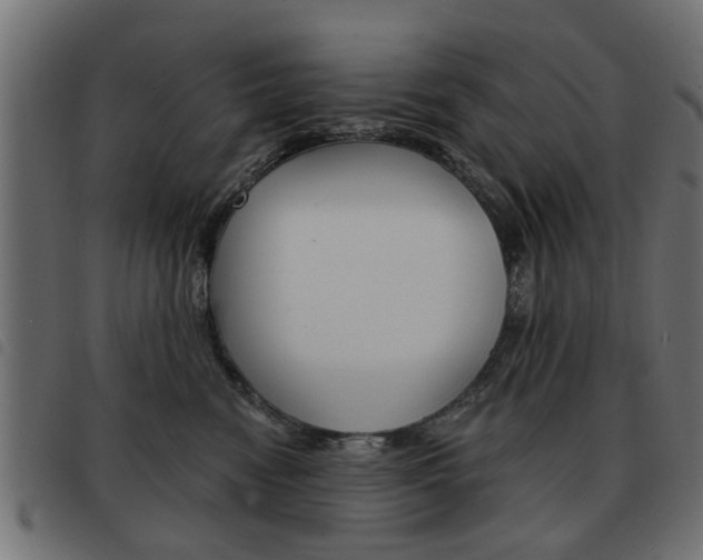 X0000093580474200710151001