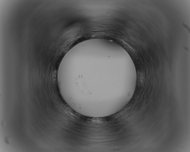 X0000093580475200710151001