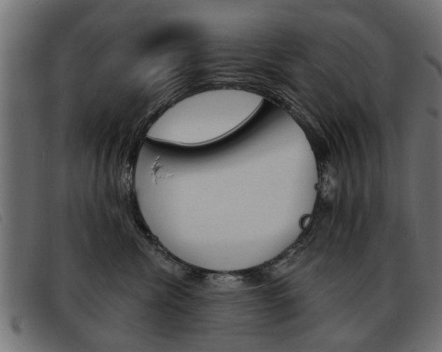 X0000093580476200710151001