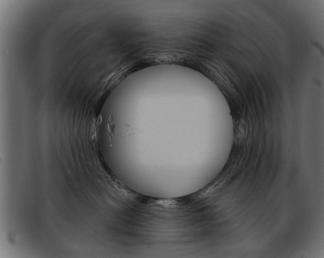 X0000093580478200710151001
