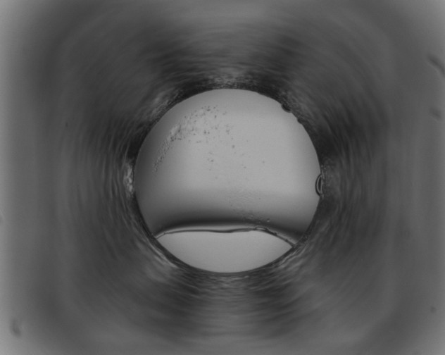 X0000093580479200710151001