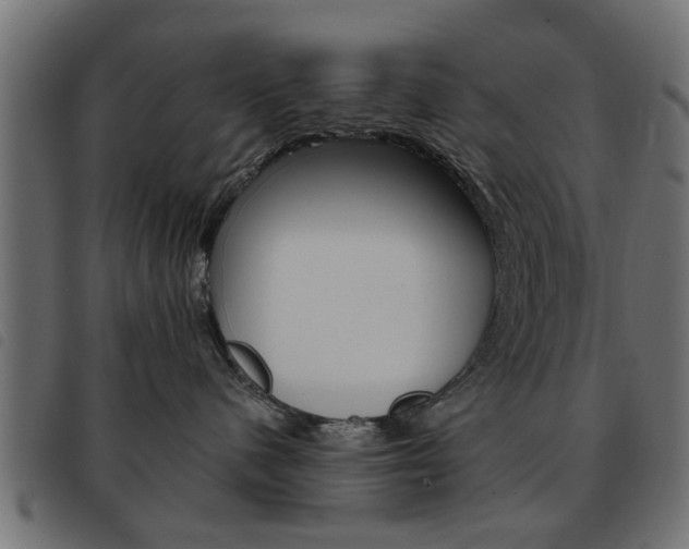 X0000093580480200710151001