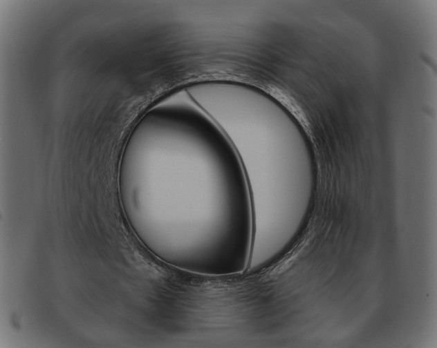 X0000093580481200710151000