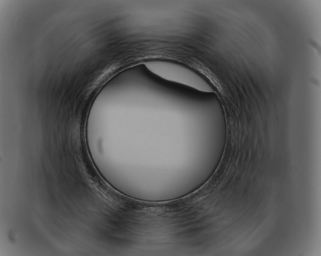 X0000093580482200710151000