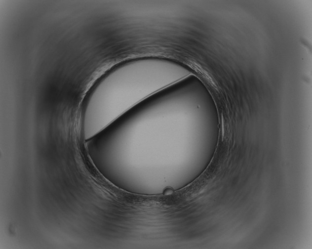 X0000093580483200710151000