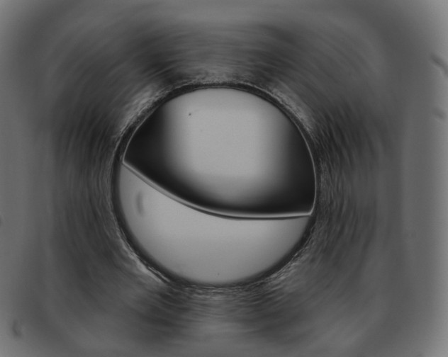 X0000093580485200710151000