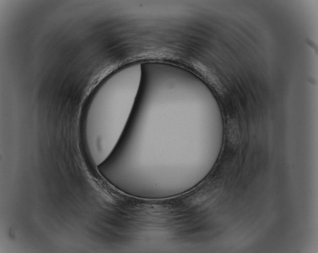 X0000093580486200710151000