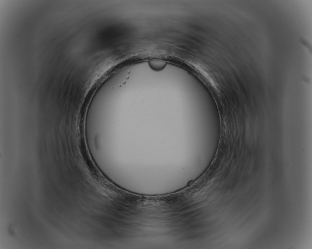 X0000093580487200710151000