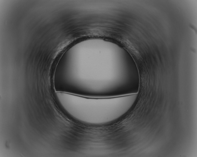 X0000093580488200710151000