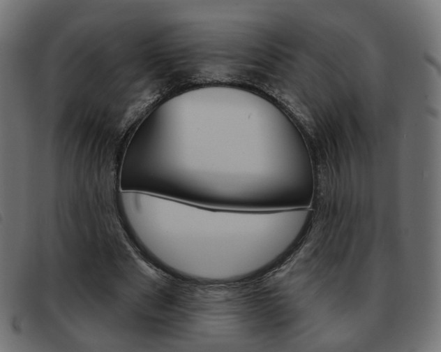 X0000093580489200710151000