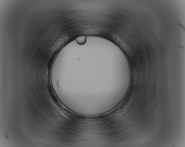 X0000093580490200710151000