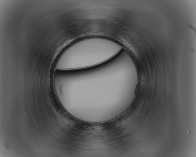 X0000093580492200710151000