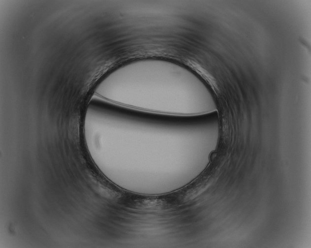 X0000093580493200710151000