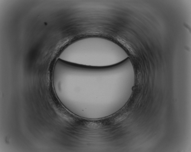 X0000093580494200710151000