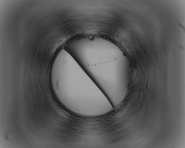 X0000093580495200710151000