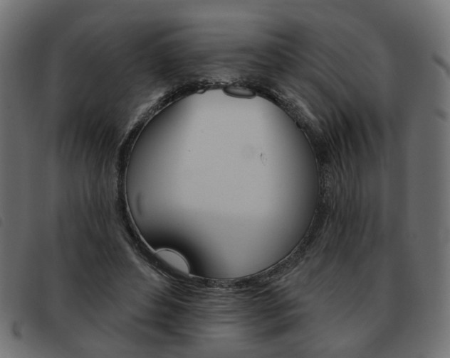 X0000093580496200710151000