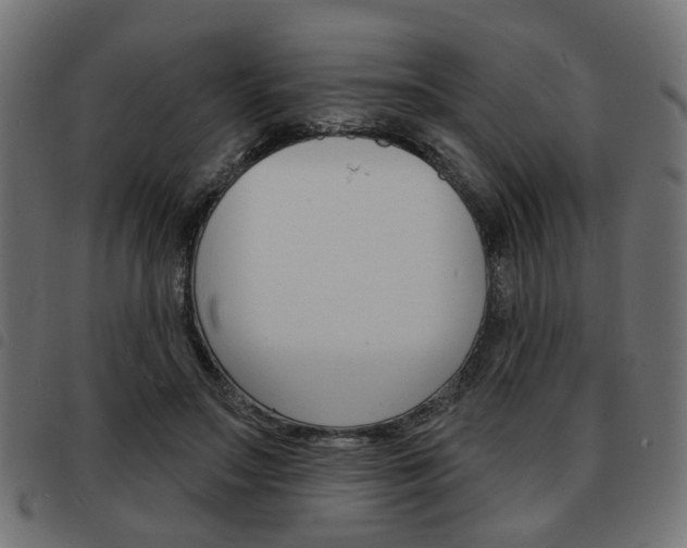 X0000093580499200710151000