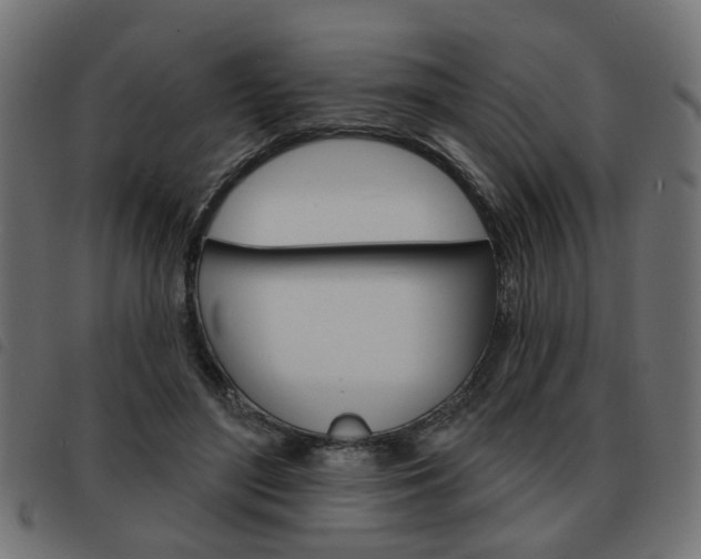 X0000093580500200710151000